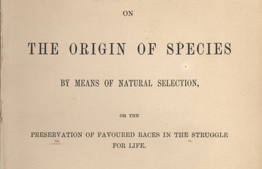 origin of species cover