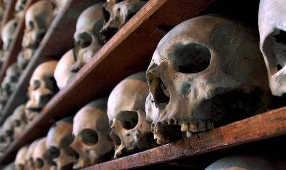 Skulls from the Black Death