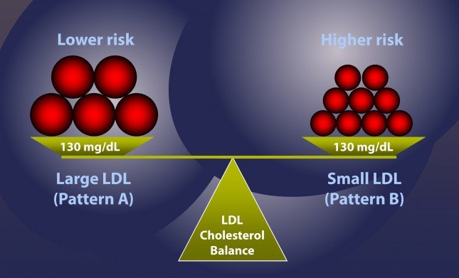 cholesterol balance