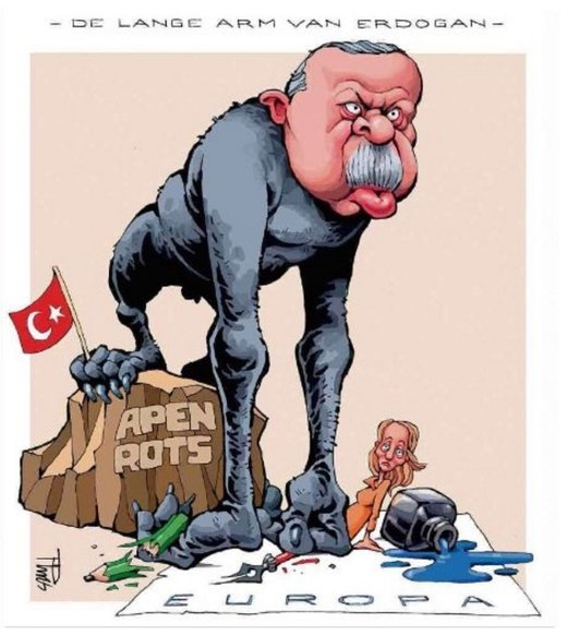 Erdogan ape