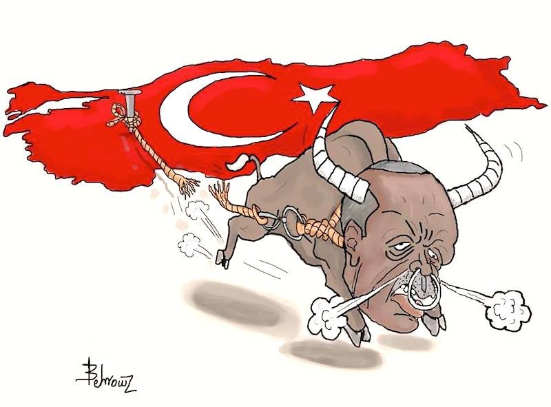Erdogan bull