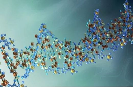 Klik for at forstørre DNA strand