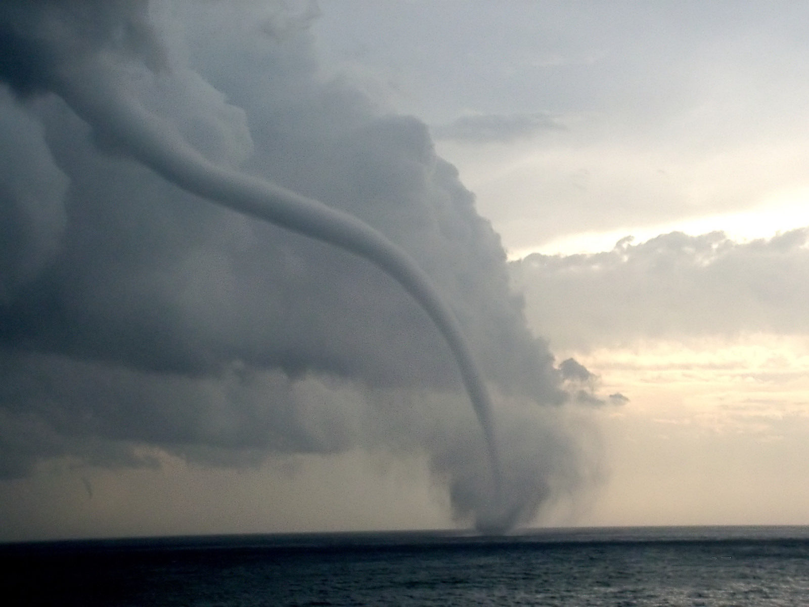Tornado