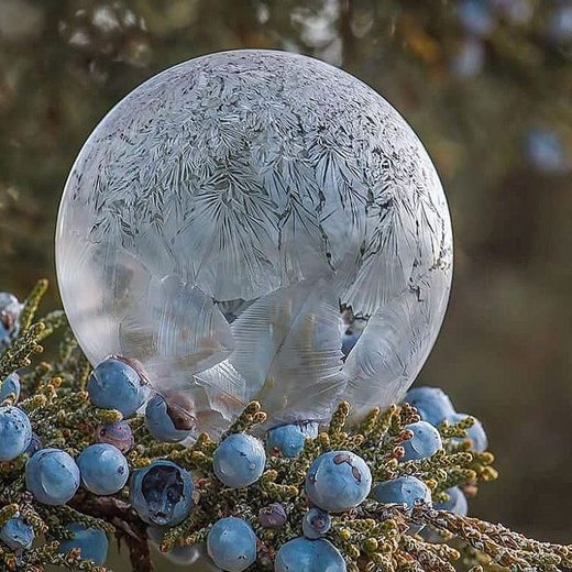 Soap bubble