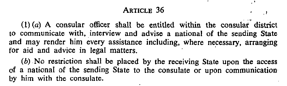 Article 36
