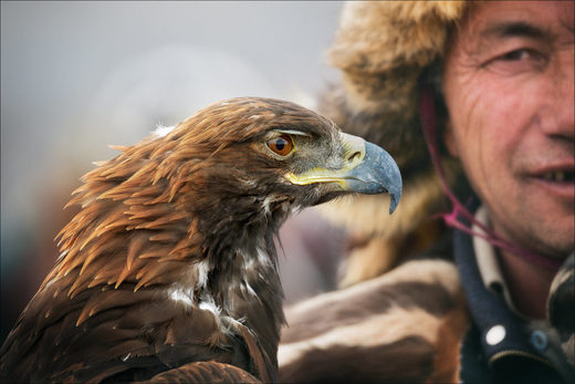 Eagle Eye