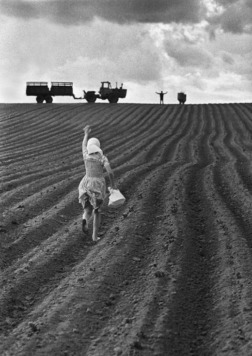 Plowing time