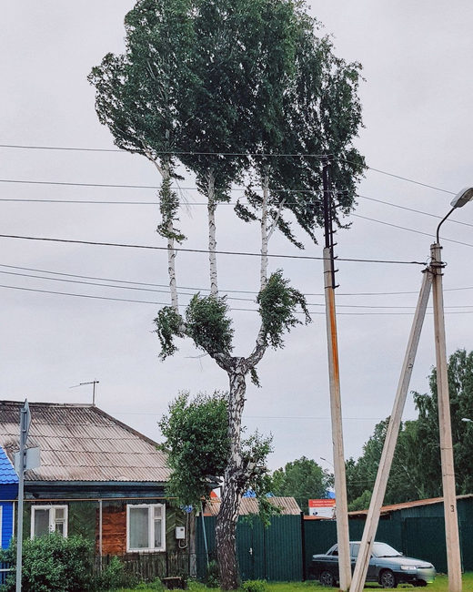 Tyumen Oblast