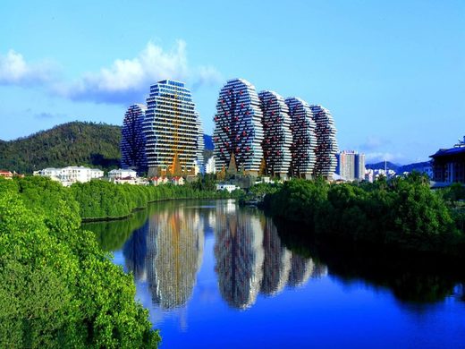 Giant Trees of China