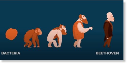 bacteria beethoven evolution