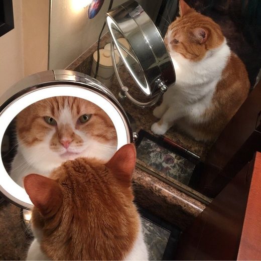 I'm OK – You're OK