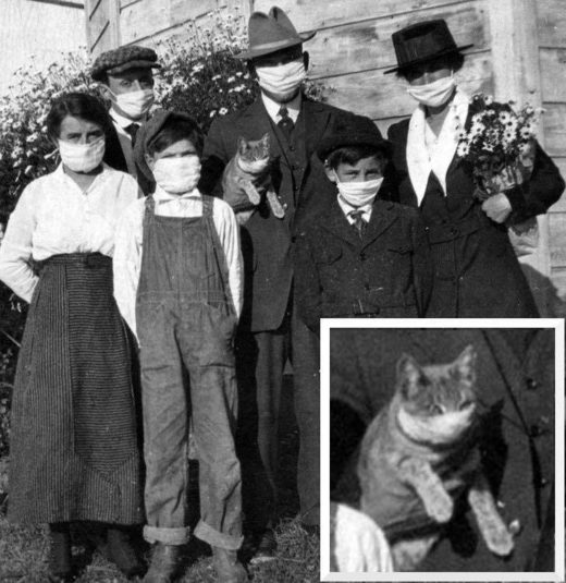 Klik for at forstørre Don't forget the cat