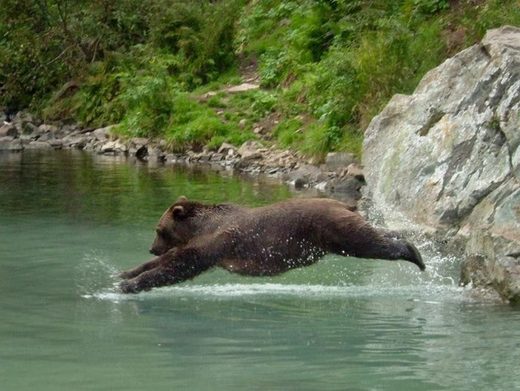 Klik for at forstørre Swimming is good for you