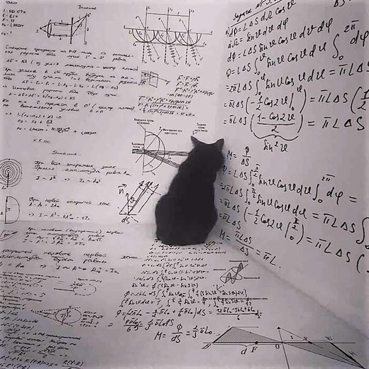 Klik for at forstørre Schrodinger's cat plans its revenge