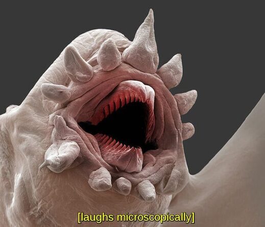 Laugh