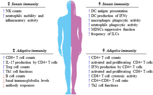 Sex difference in immune function