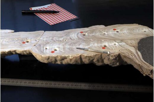 Klik for at forstørre Stalagmite